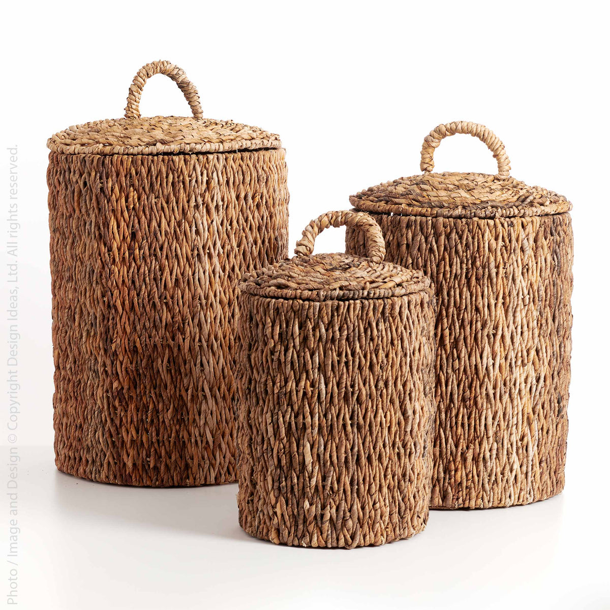 5513340_1200x1200.jpg?v=1714769412