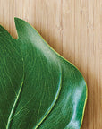 BaliHai™ Alocasia Placemat