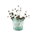 Nile River recycled glass container