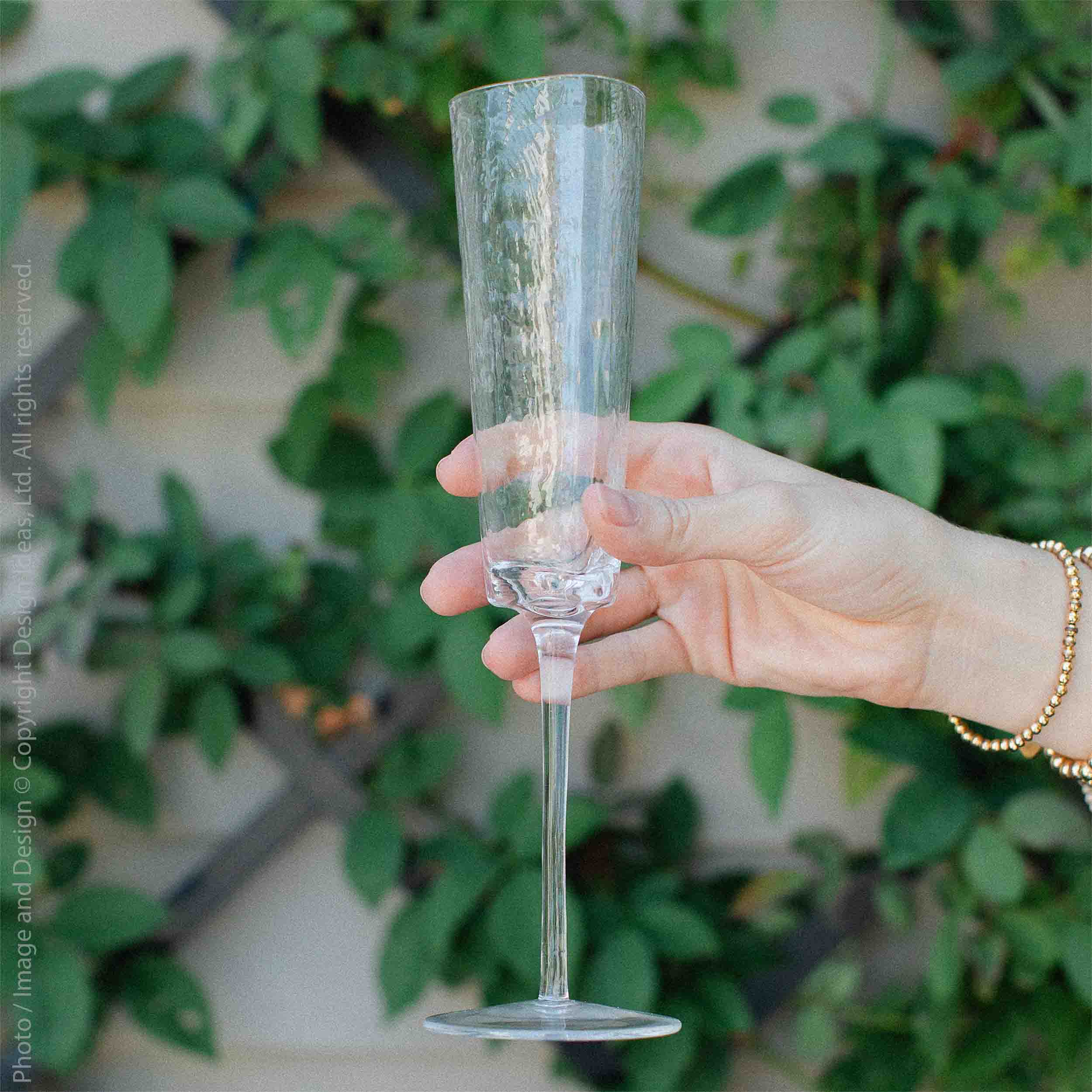 Serapha™ Glass Champagne Flute (5.8 oz.)