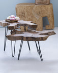 Takara™ Teak Root Coffee Table