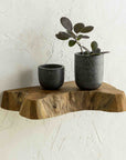 Takara™ Teak Live Edge Shelf (Small)