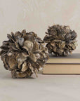Concha™ decoration (small)