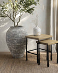 Valea™ Mango Wood Square Side Tables