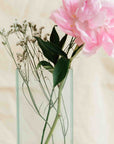 Vision™ Rectangle Glass Vase (4 x 2 x 12in)