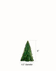 Wonderland™ pandan tree (6in.)