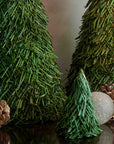 Wonderland™ pandan tree (6in.)