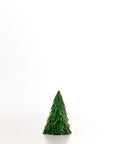 Wonderland™ pandan tree (6in.)