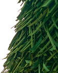 Wonderland™ pandan tree (16 in.)