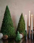 Wonderland™ pandan tree (22 in.)