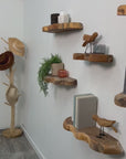 Takara™ Teak Live Edge Shelf (16 in)