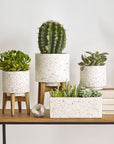 Terrazza Pot | Image 4 | From the Terrazza Collection | Masterfully handmade with natural terrazzo for long lasting use | Available in natural color | texxture home
