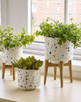 Terrazza Pot - Terrazzo Blue Color | Image 2 | From the Terrazza Collection | Masterfully handmade with natural terrazzo for long lasting use | Available in natural color | texxture home