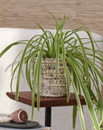 Melia™ Woven Jute Baskets (set of 4)