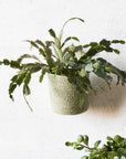 Melia™ Woven Jute Hanging Basket (4.6 x 5.2 x 4.8 in.)