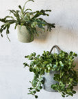Melia™ hanging basket (4.6 x 5.2 x 4.8 in.) - Black | Image 2 | Premium Basket from the Melia collection | made with Jute for long lasting use | texxture