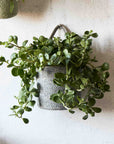 Melia™ Woven Jute Hanging Basket (6.3 x 7 x 6.5 in.)