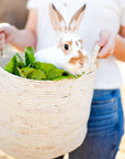 Maiz™ basket (large: handles) - Natural | Image 6 | Premium Basket from the Maiz collection | made with Corn husk for long lasting use | sustainably sourced with recycled materials | texxture