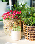 Lucia™ Woven Water Hyacinth Baskets (set of 3)