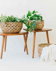 Fasano™ Woven Water Hyacinth Baskets (set of 3)