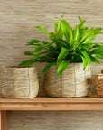Pesaro™ Woven Water Hyacinth Twine Baskets (set of 3)