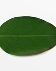 BaliHai Heliconia Placemat - Copper Color | Image 1 | From the BaliHai Collection | Skillfully assembled with natural eva foam for long lasting use | texxture home