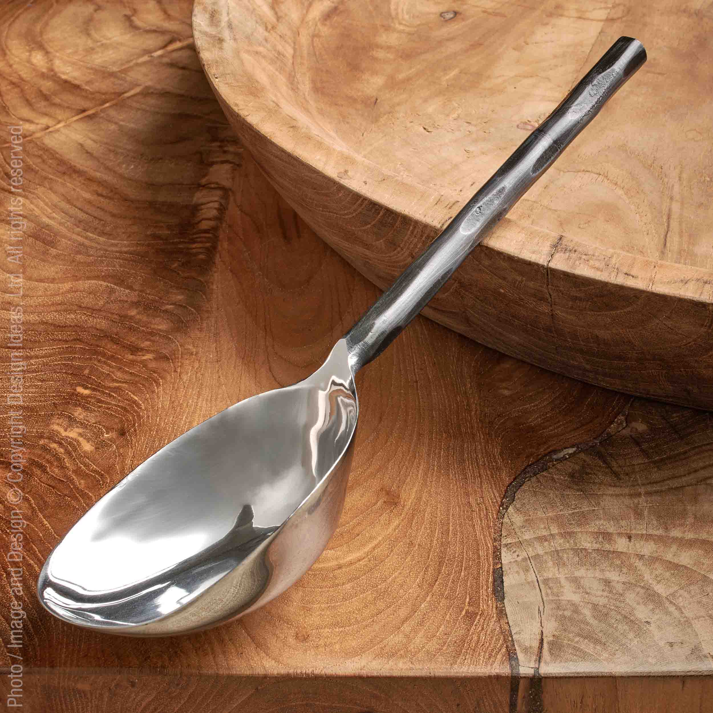 Tomini™ ice scoop - Silver | Image 1 | Premium Utensils from the Tomini collection | made with Stainless Steel for long lasting use | texxture
