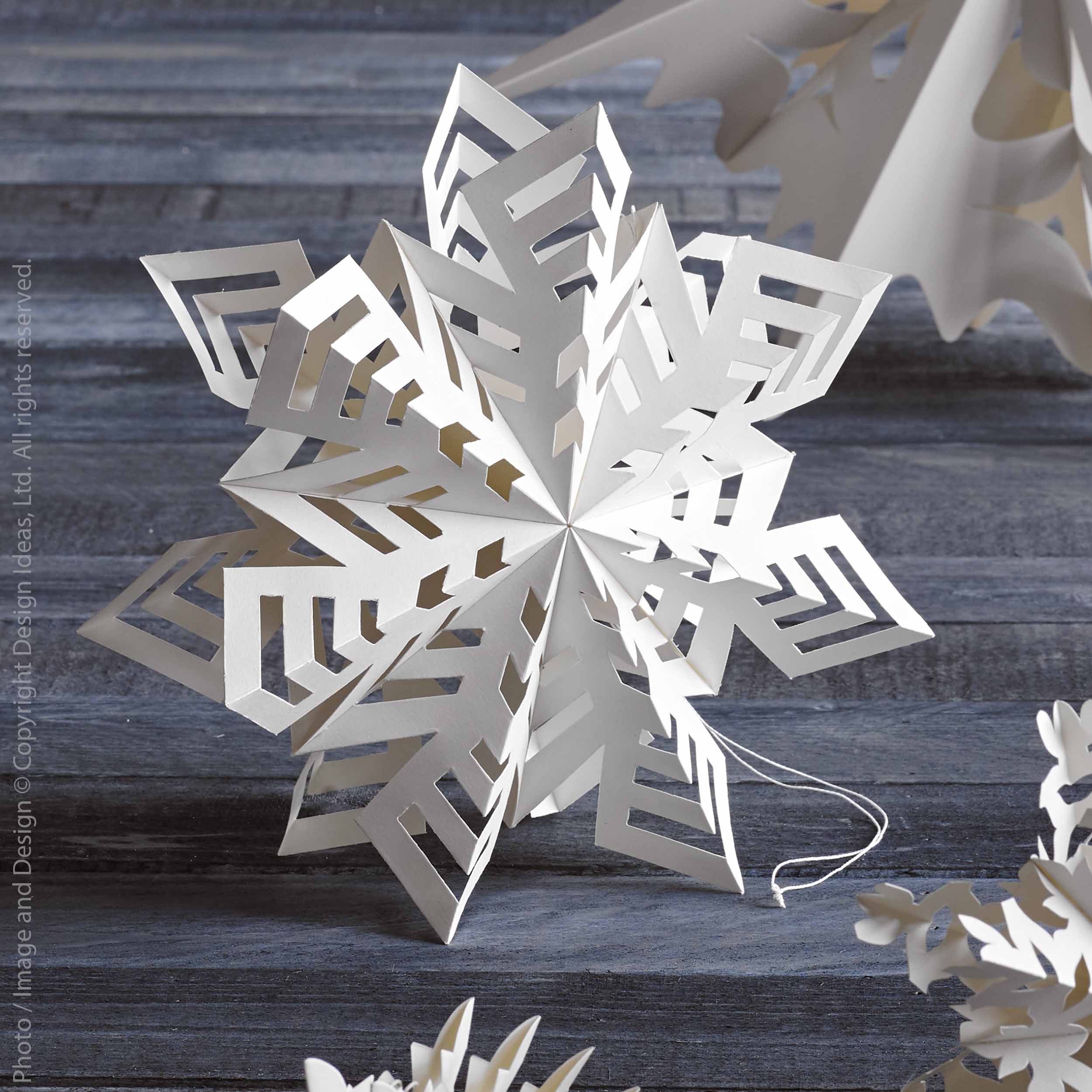 Snowflake Flurry Plastic Bag and Metallic Silver Tissue