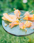 Avalon™ Glass Tray