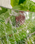 Norwell™ Mouth Blown, Hand Made Glass Serving Bowl (50% Recycled Glass) - (colors: Clear) | Premium Bowl from the Norwell™ collection | made with Glass - 50% Recycled for long lasting use