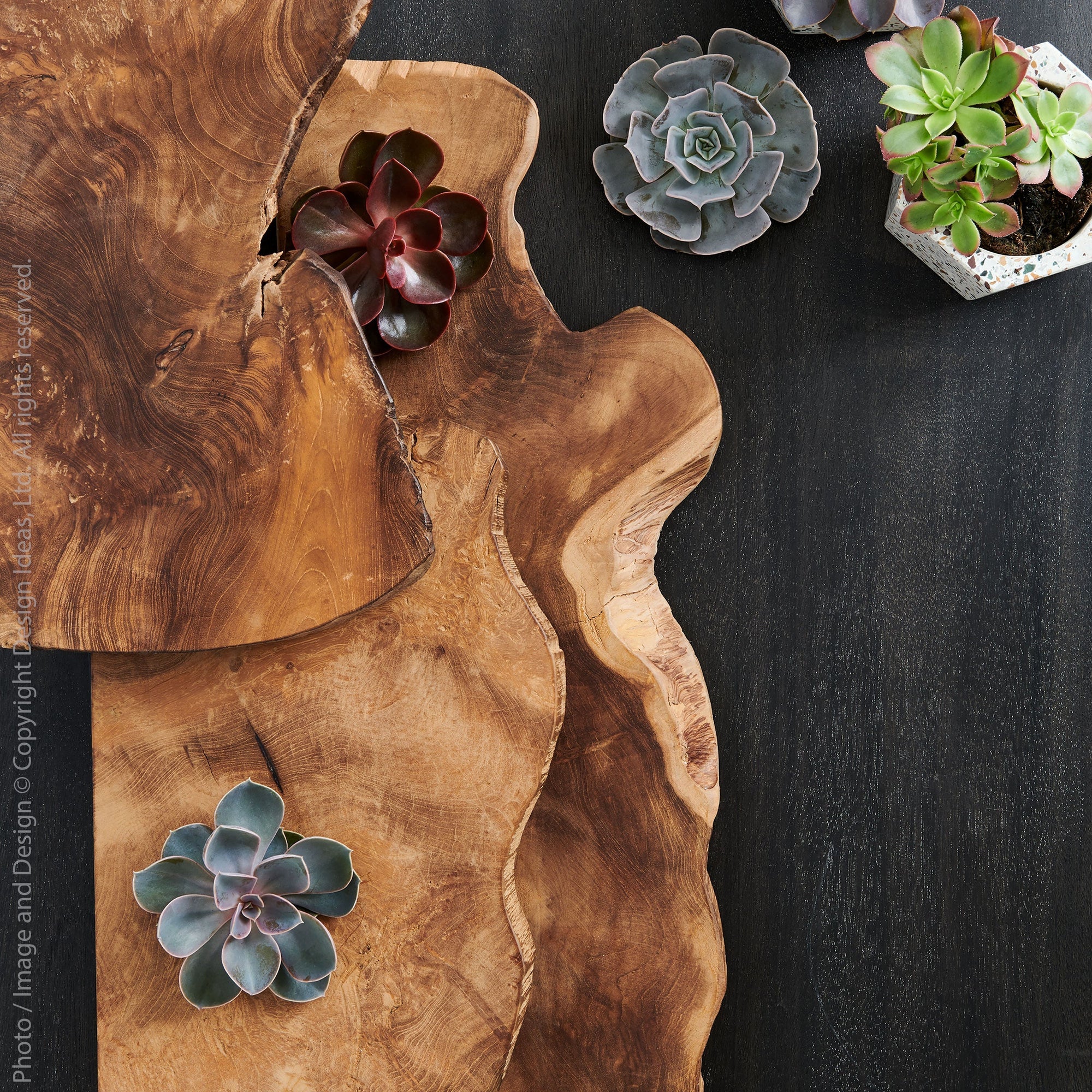 Takara Teak Live Edge Shelf (Small) Black Color | Image 4 | From the Takara Collection | Expertly assembled with natural teak for long lasting use | This shelf is sustainably sourced | Available in natural color | texxture home