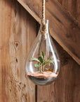 Boboli™ Glass Terrarium (6.5 in dia. x 11.5 in)