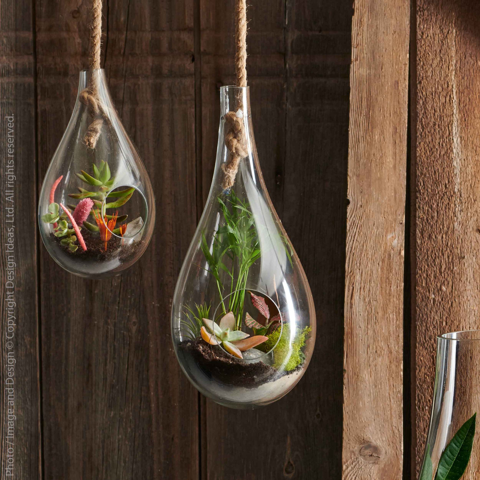Boboli™ Glass Terrarium (7 in dia. x 15 in)