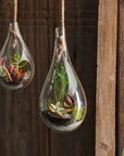 Boboli™ Glass Terrarium (7 in dia. x 15 in)