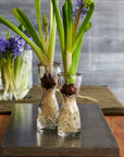 Wabisabi Glass Bulb Forcer (Small) white color | Image 2 | From the Wabisabi Collection | Expertly crafted with natural glass for long lasting use | Available in clear color | texxture home
