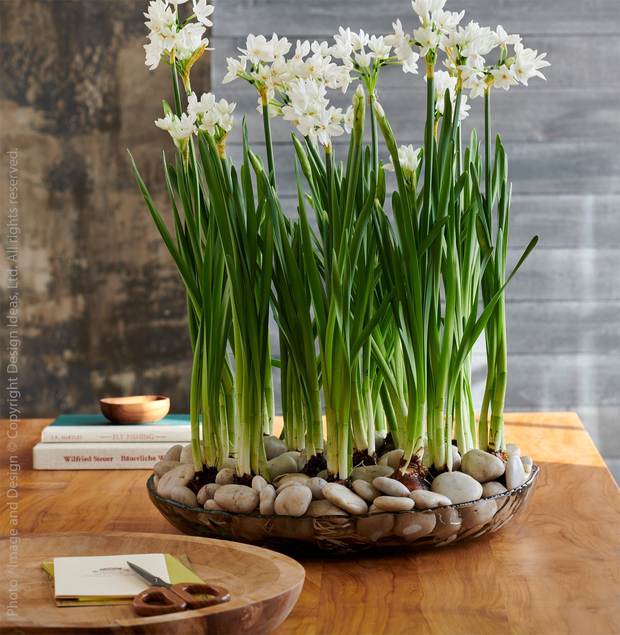 Wabisabi™ decorative bowl (16in) - Clear | Image 3 | Premium Bowl from the Wabisabi collection | made with Glass for long lasting use | texxture