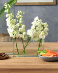 Vision™ Small Rectangle Glass Vase