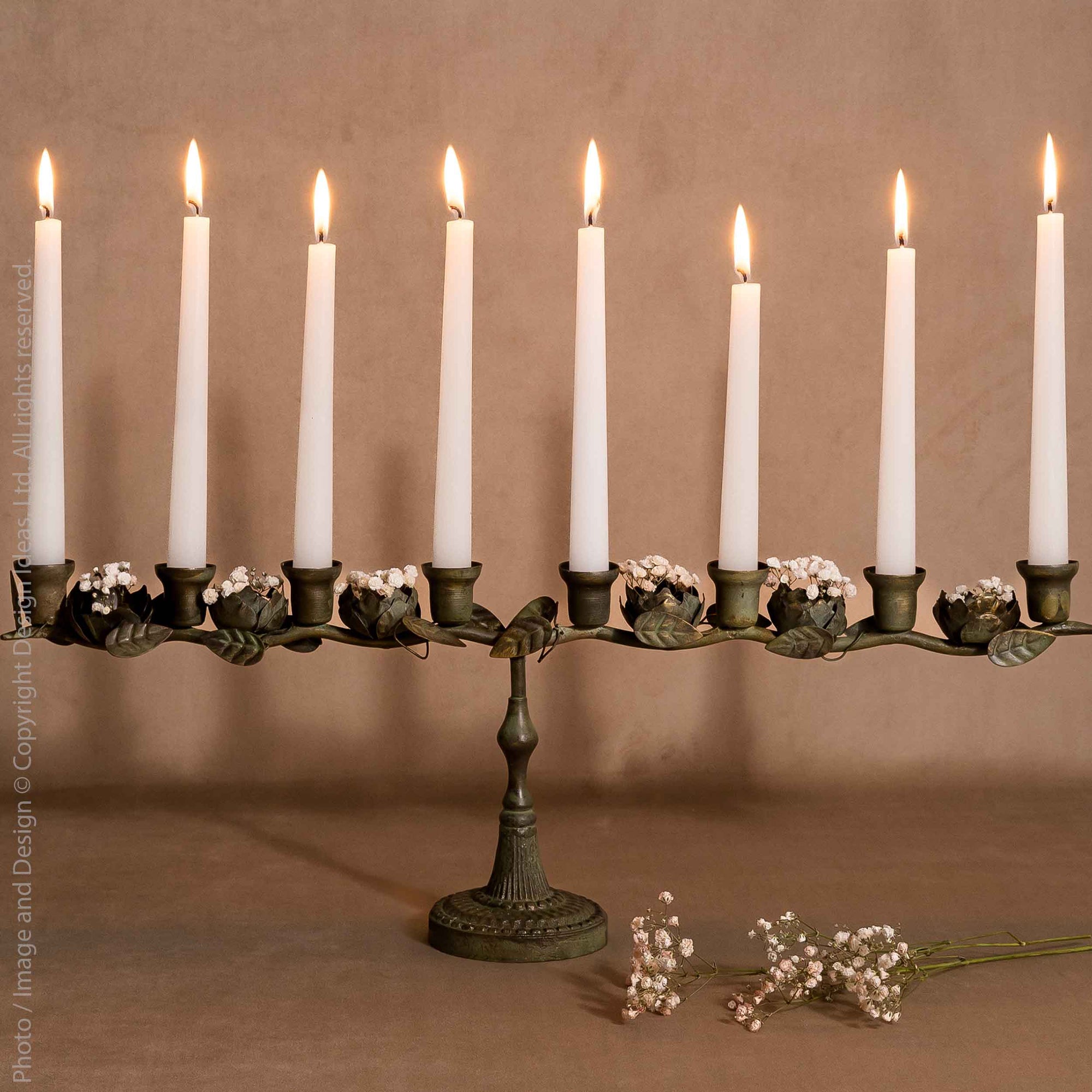 Astoria™  iron candleabra