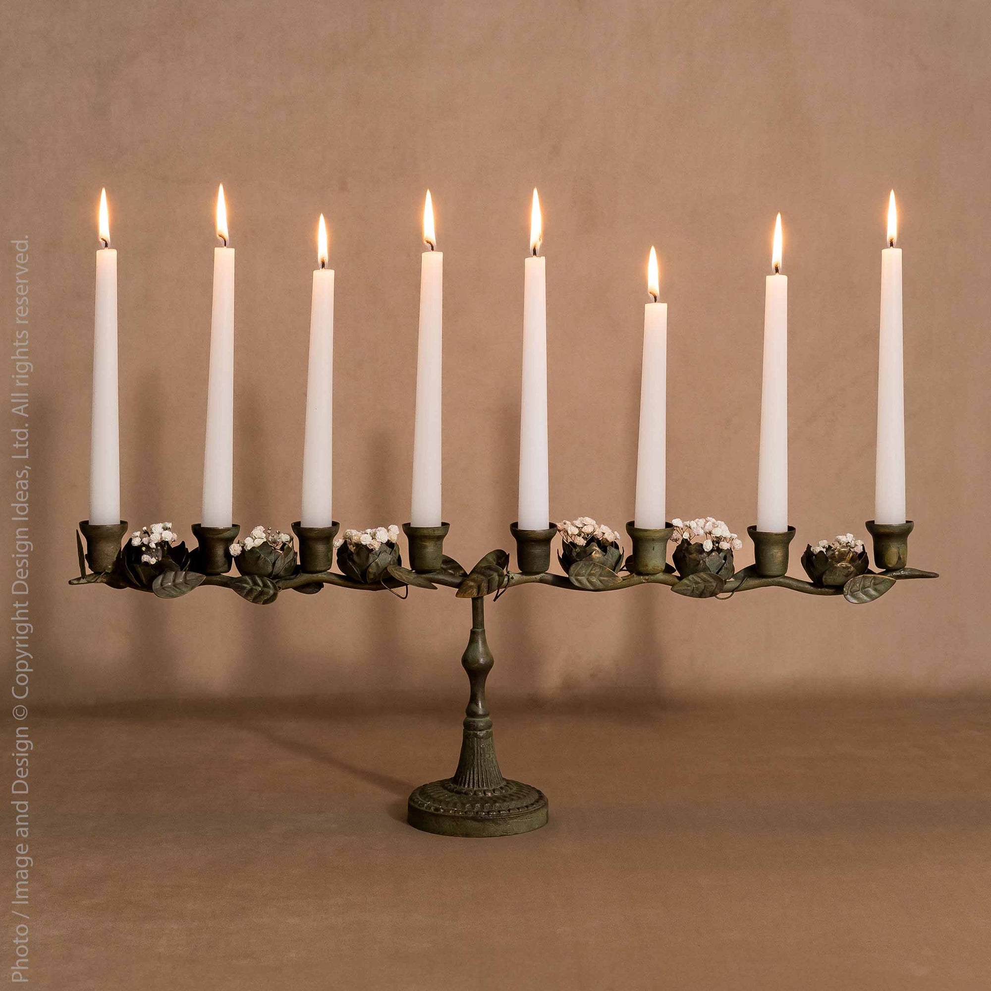 Astoria™  iron candleabra