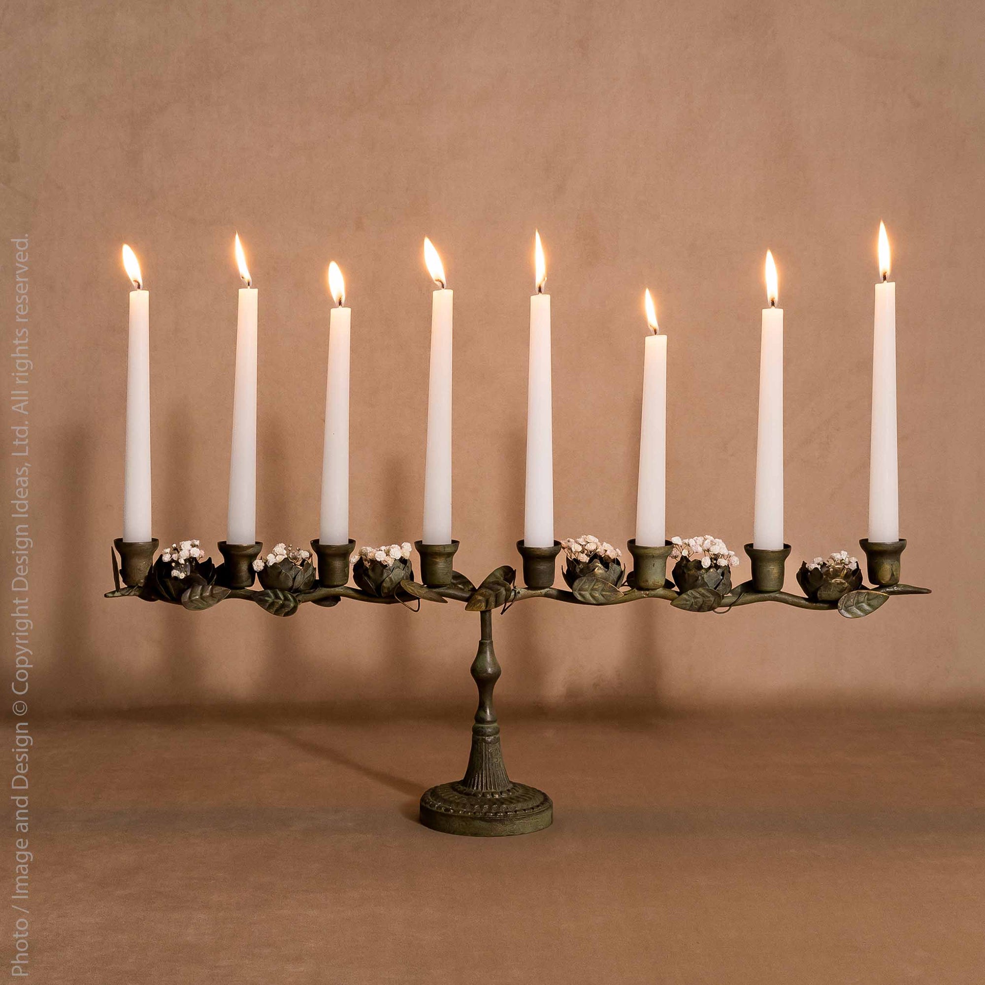 Astoria™  iron candleabra