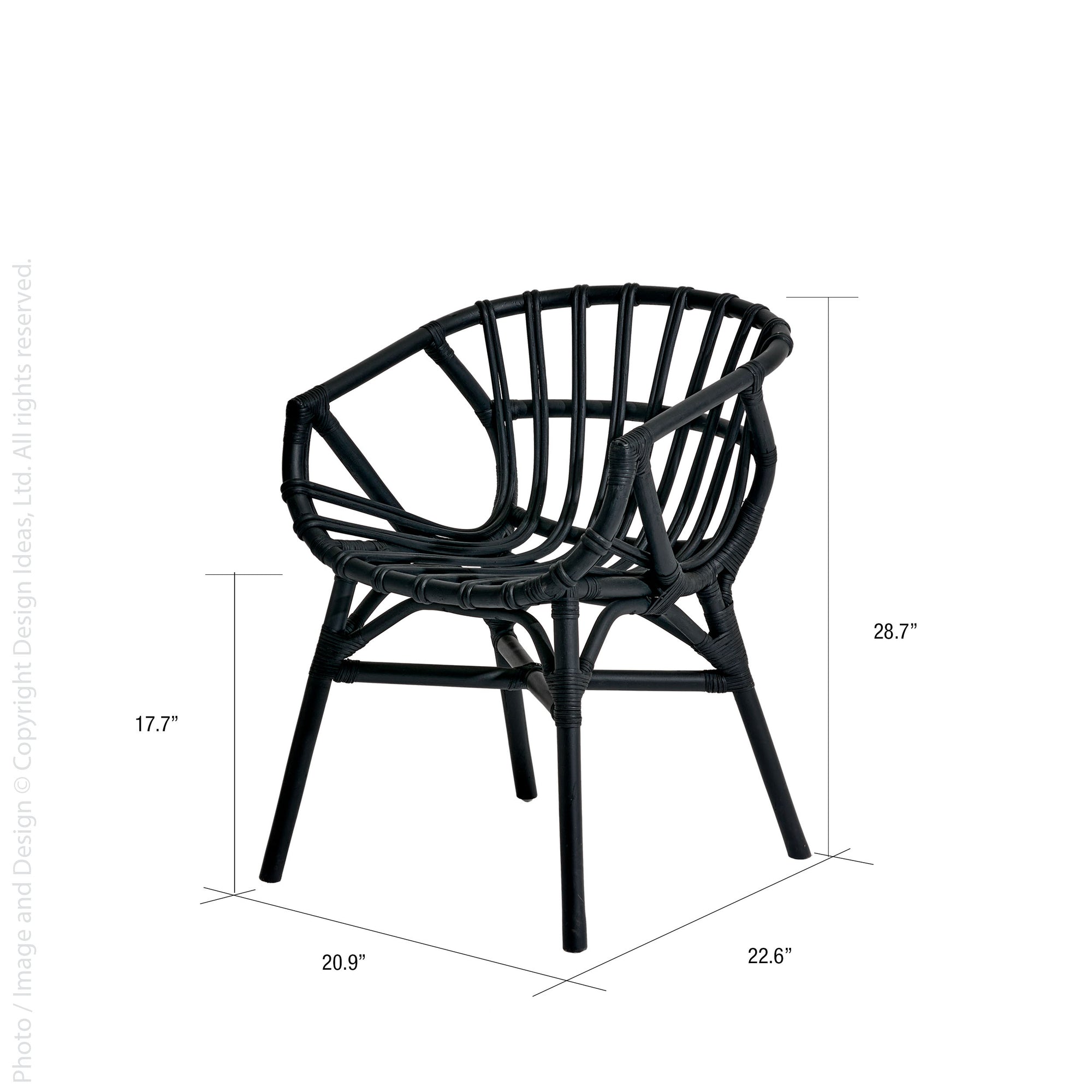 Siena™ Rattan Side Chair