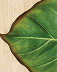 BaliHai™ philodendron placemat
