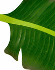BaliHai™ fern table runner