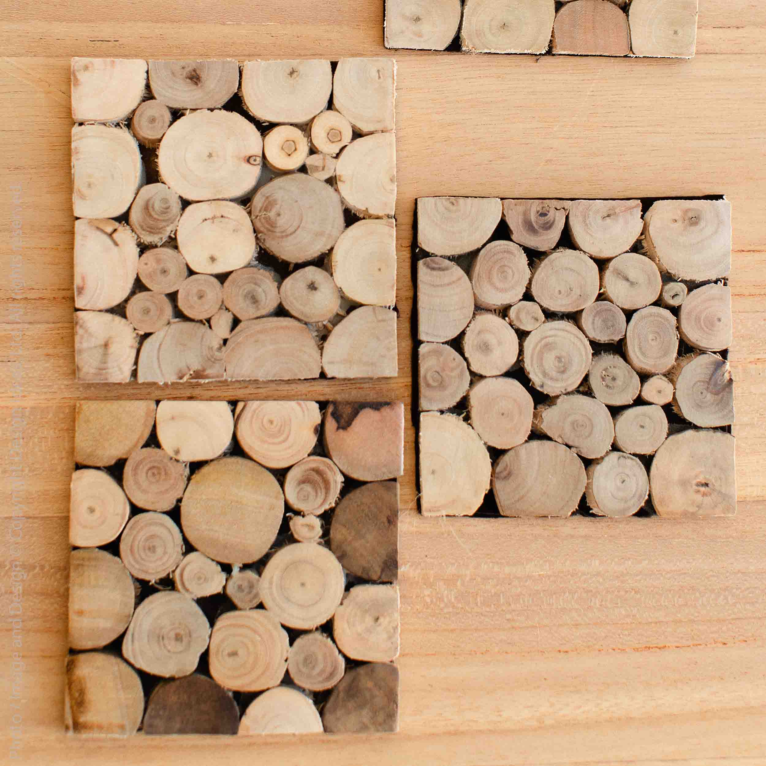 Branch Wood Coaster - texxture™