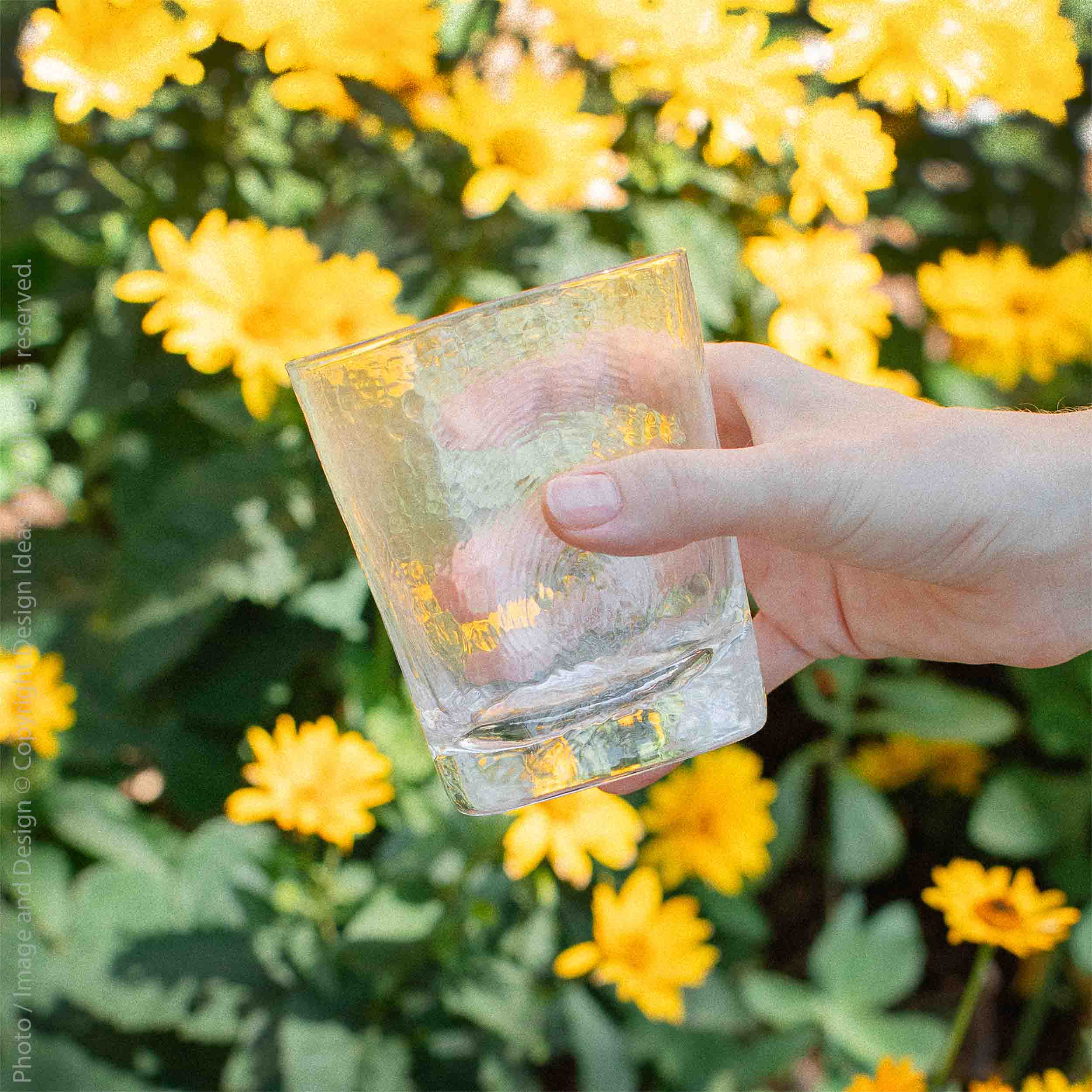 Serapha™ Drinking Glass (13.5 oz.) - texxture™