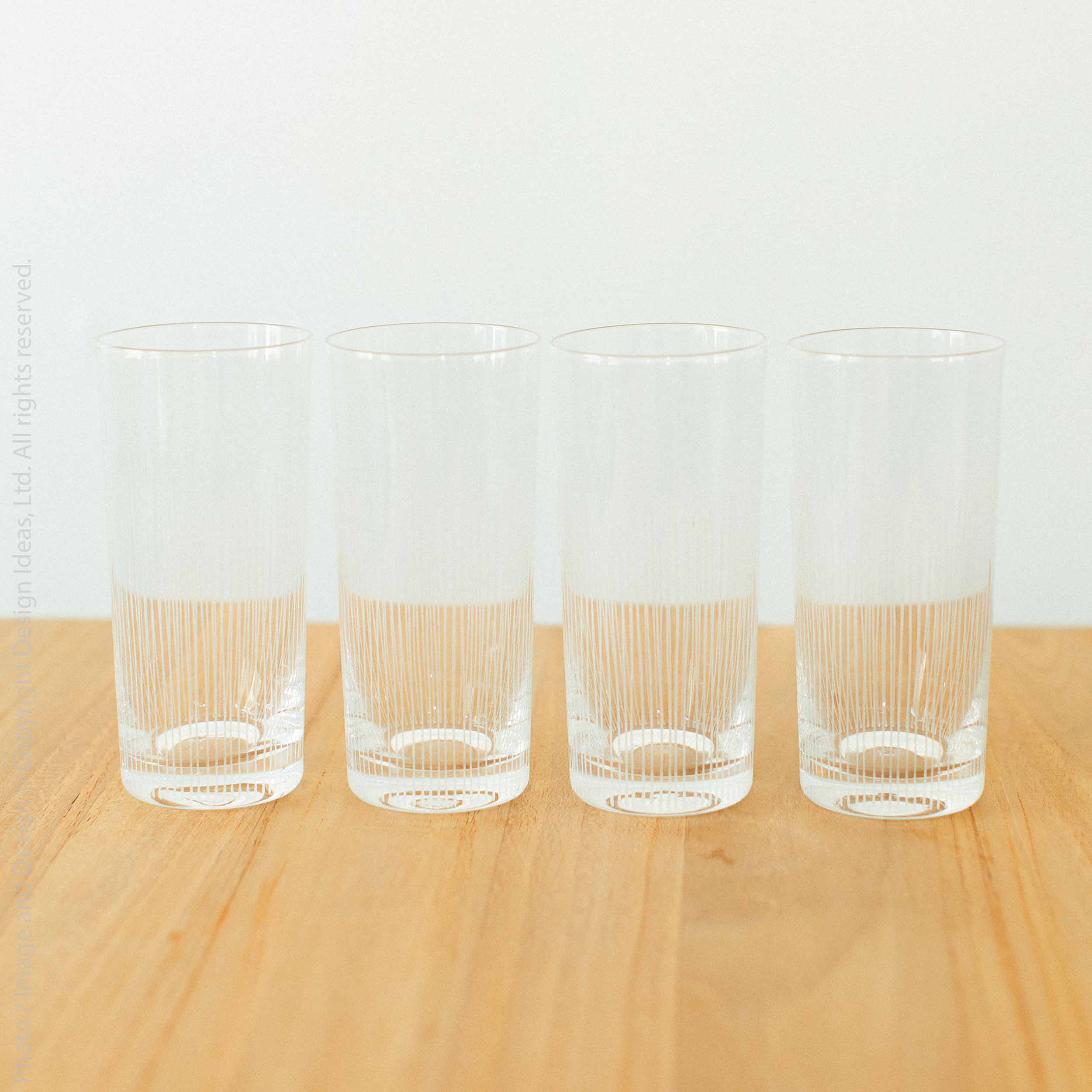 Endra™ 16 oz. Mould Blown Glass Drinking Glass (set of 4)