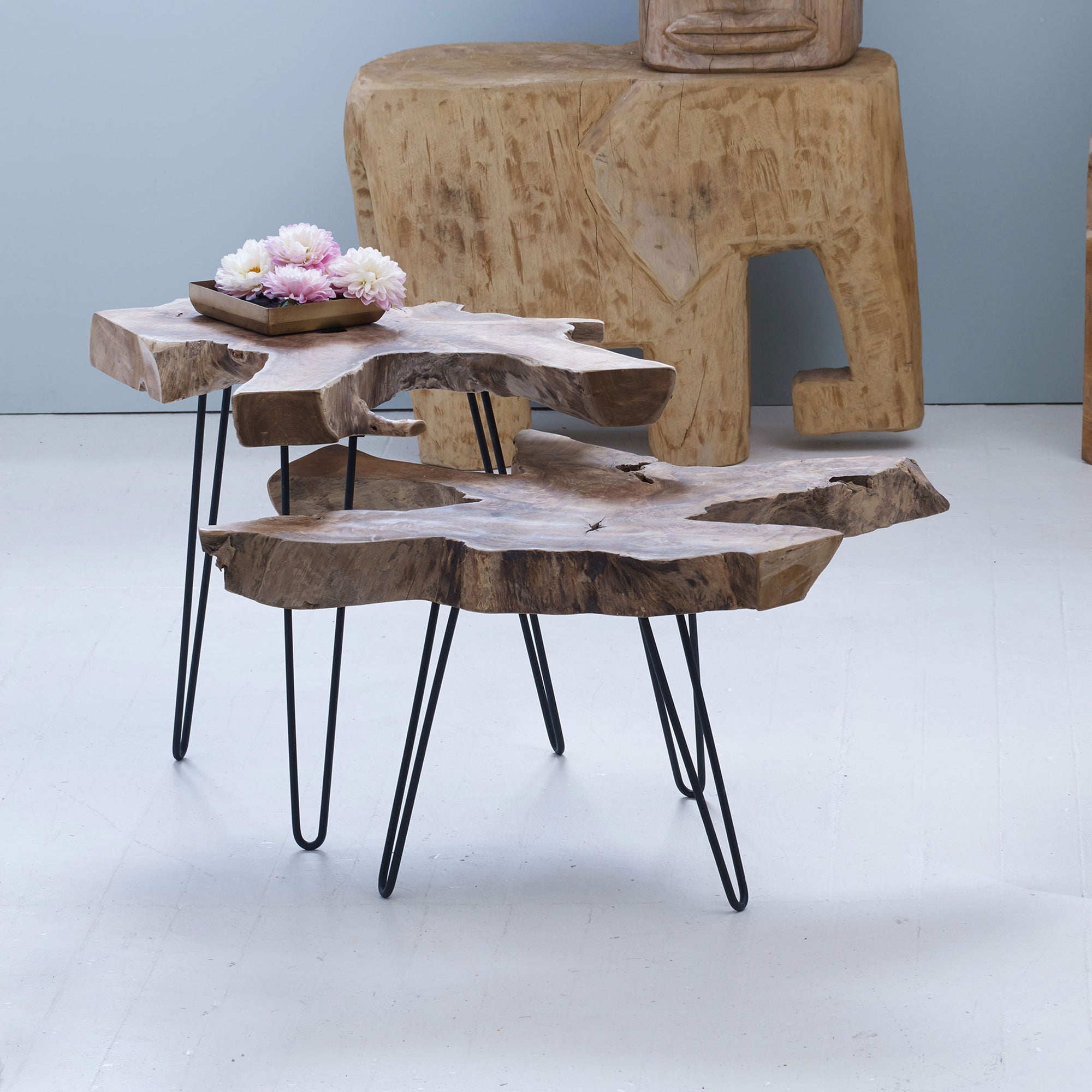 Takara™ Teak Root Coffee Table