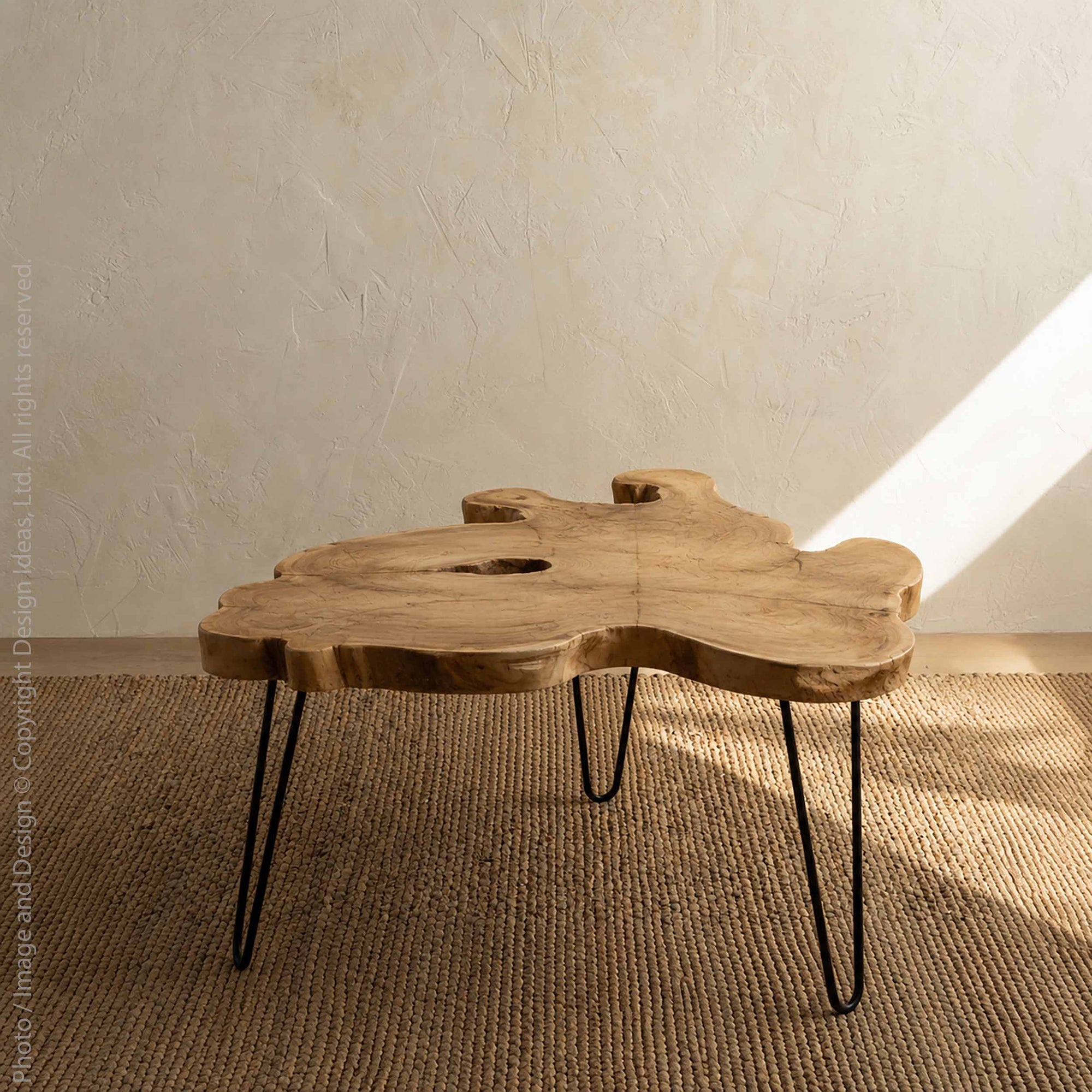 Takara™ Teak Root Coffee Table