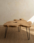 Takara™ Teak Root Coffee Table