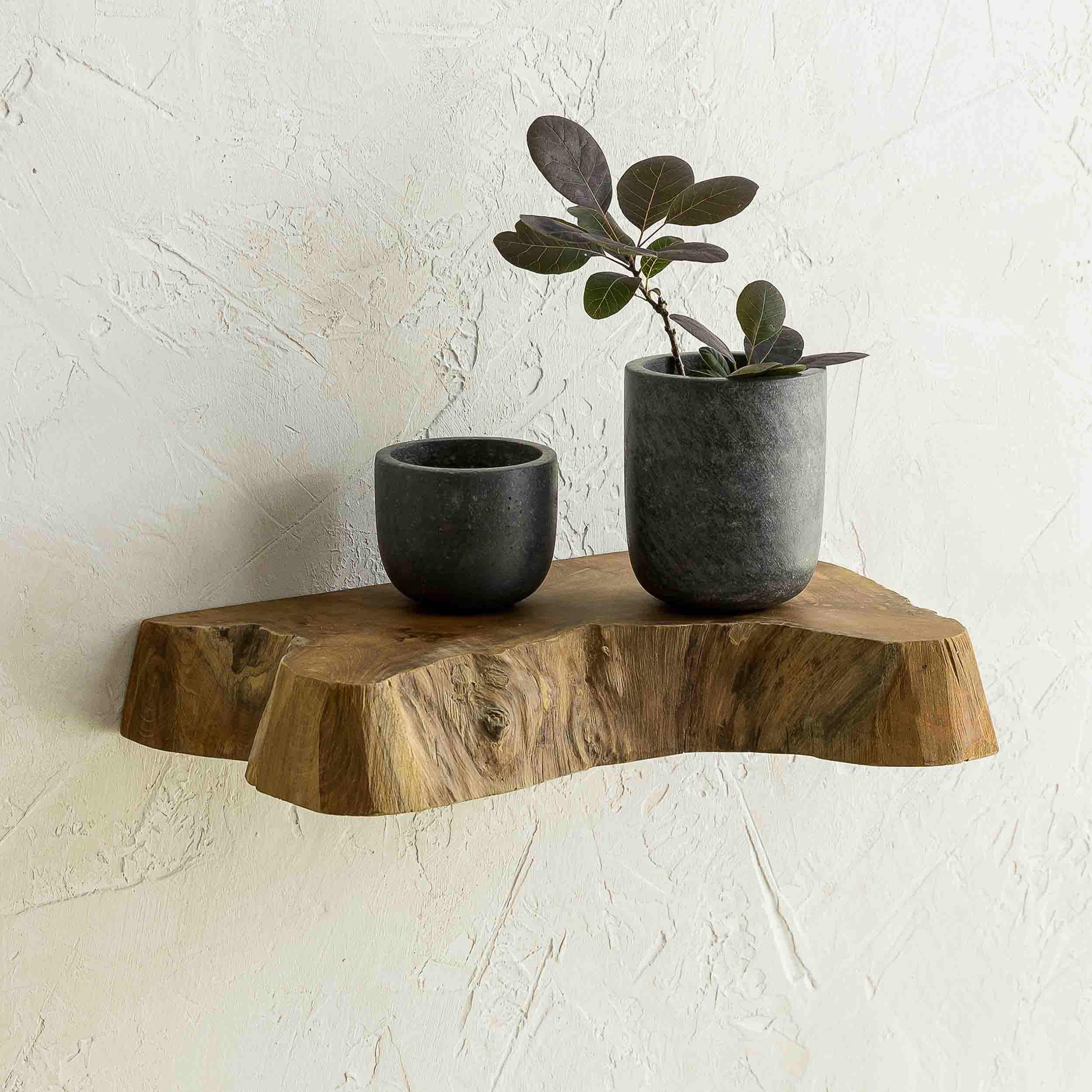 Takara Teak Live Edge Shelf (Small) - texxture™